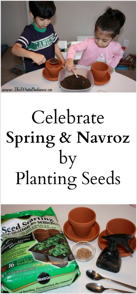 Celebrate Navroz & Spring by planting seeds with the kids
