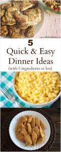 Quick & Easy Meals | 5 Ingredient Dinners