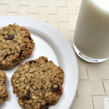 Healthy Make Ahead Breakfast Ideas - Flourless Breakfast Cookies