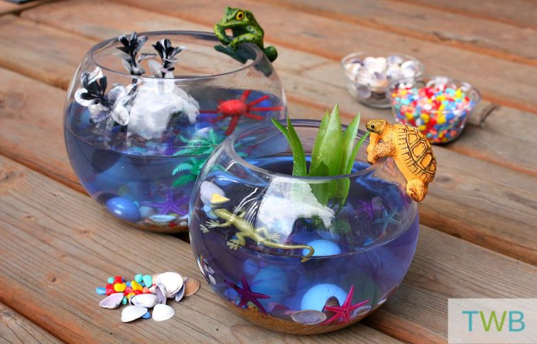 Easy Aquarium Craft For Kids