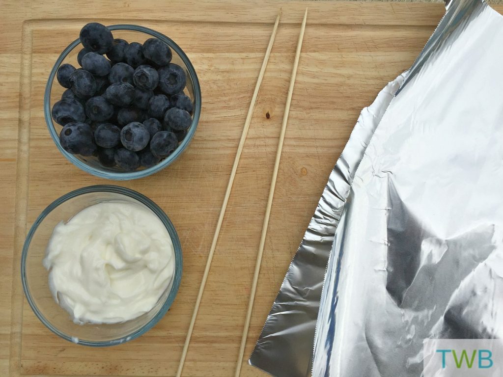 Frozen Yogurt Covered Blueberry Drops